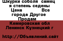 Шкурки соболя (самец) 1-я степень седены › Цена ­ 12 000 - Все города Другое » Продам   . Кемеровская обл.,Ленинск-Кузнецкий г.